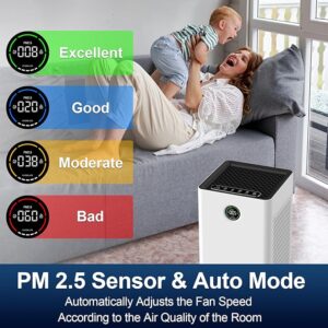 air purifiers